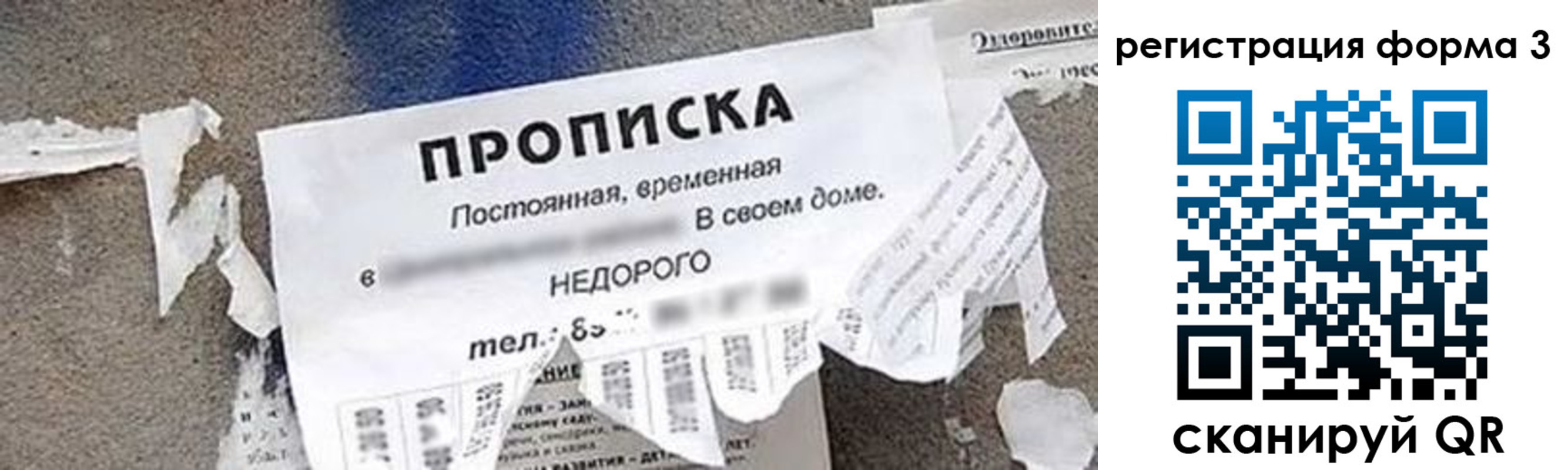 прописка 2025 в Николаевске-на-Амуре